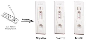 pregnancy test kit | pregnancy test kit use in hindi